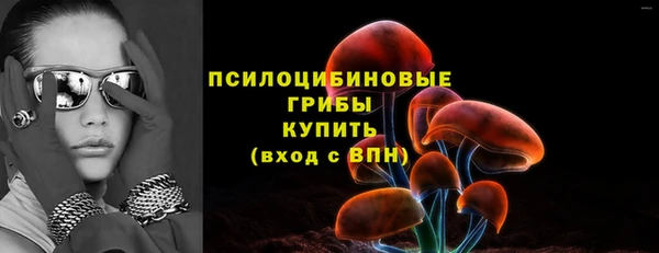 гашик Нязепетровск