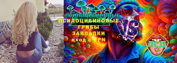 гашик Нязепетровск