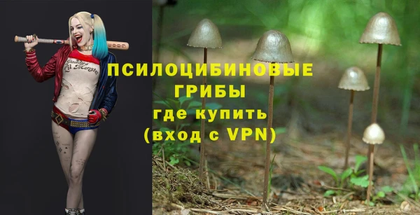 гашик Нязепетровск
