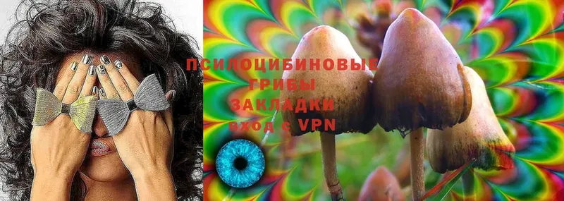 Псилоцибиновые грибы MAGIC MUSHROOMS  Рязань 