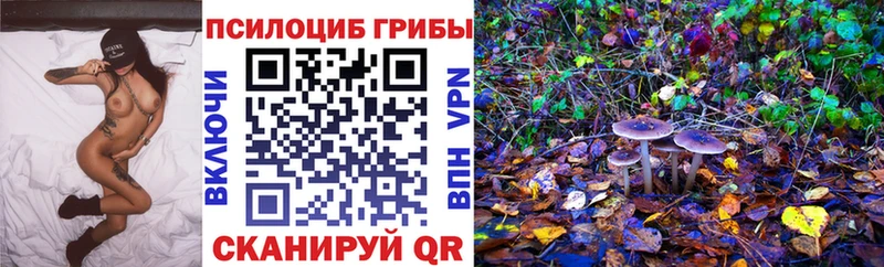 Псилоцибиновые грибы мицелий  Рязань 