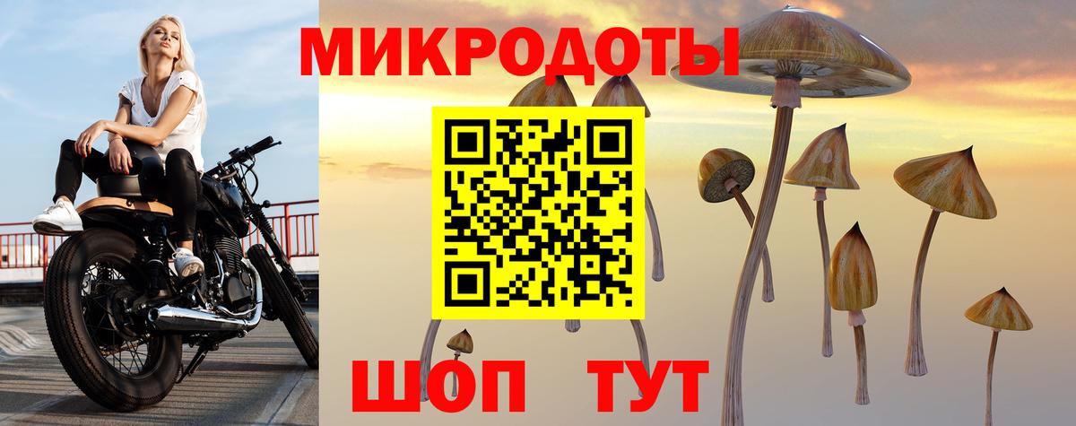 Галлюциногенные грибы Cubensis  Галлюциногенные грибы Psilocybe  Рязань  Вход с VPN 