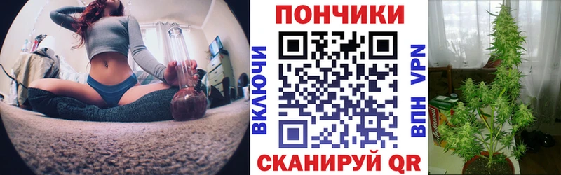 Канабис THC 21% наркотики Рязань